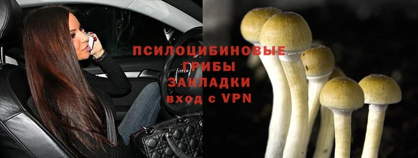 герыч Мегион